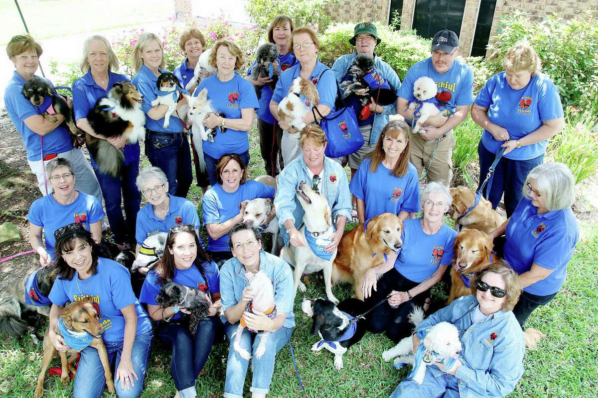 Visiting pets provide comfort, help ease stress