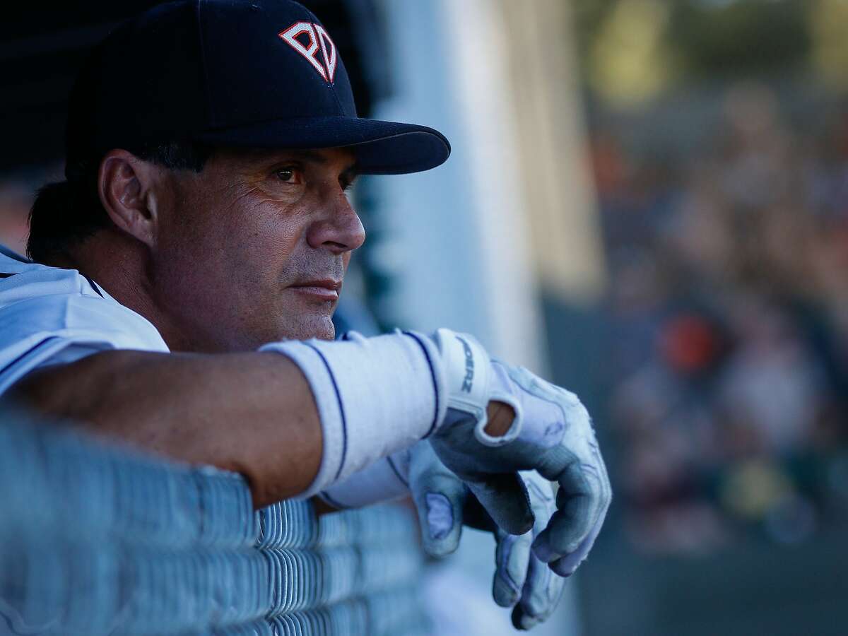 Jose Canseco playing with Sonoma Stompers this weekend - Athletics Nation