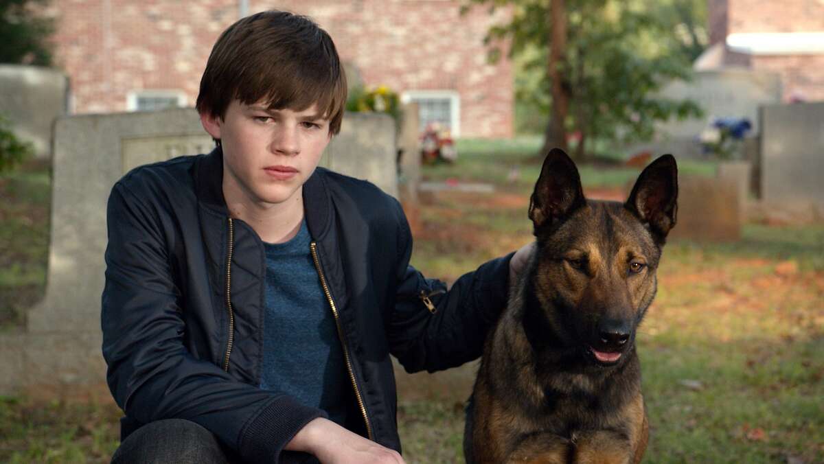 This photo provided by Warner Bros. Pictures shows, Josh Wiggins, left, as Justin Wincott, and Max, in Warner Bros. Pictures and Metro-Goldwyn-Mayer Pictures' family drama "Max," a Warner Bros. Pictures and Metro-Goldwyn-Mayer Pictures release. (Courtesy Warner Bros. Pictures via AP)