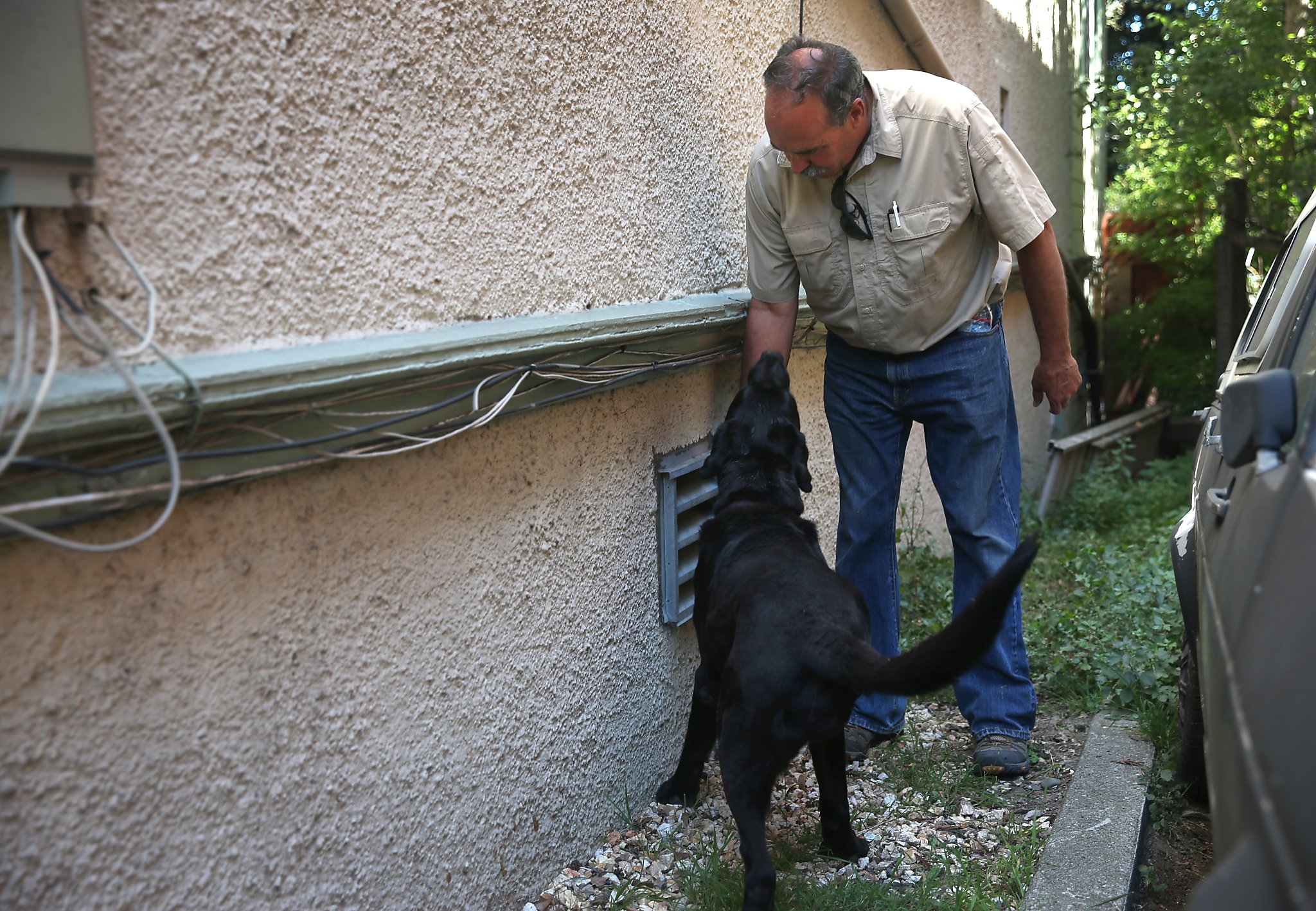 People help get rid of the cadaveric smell in the apartment People help get rid of the cadaveric smell in the apartment