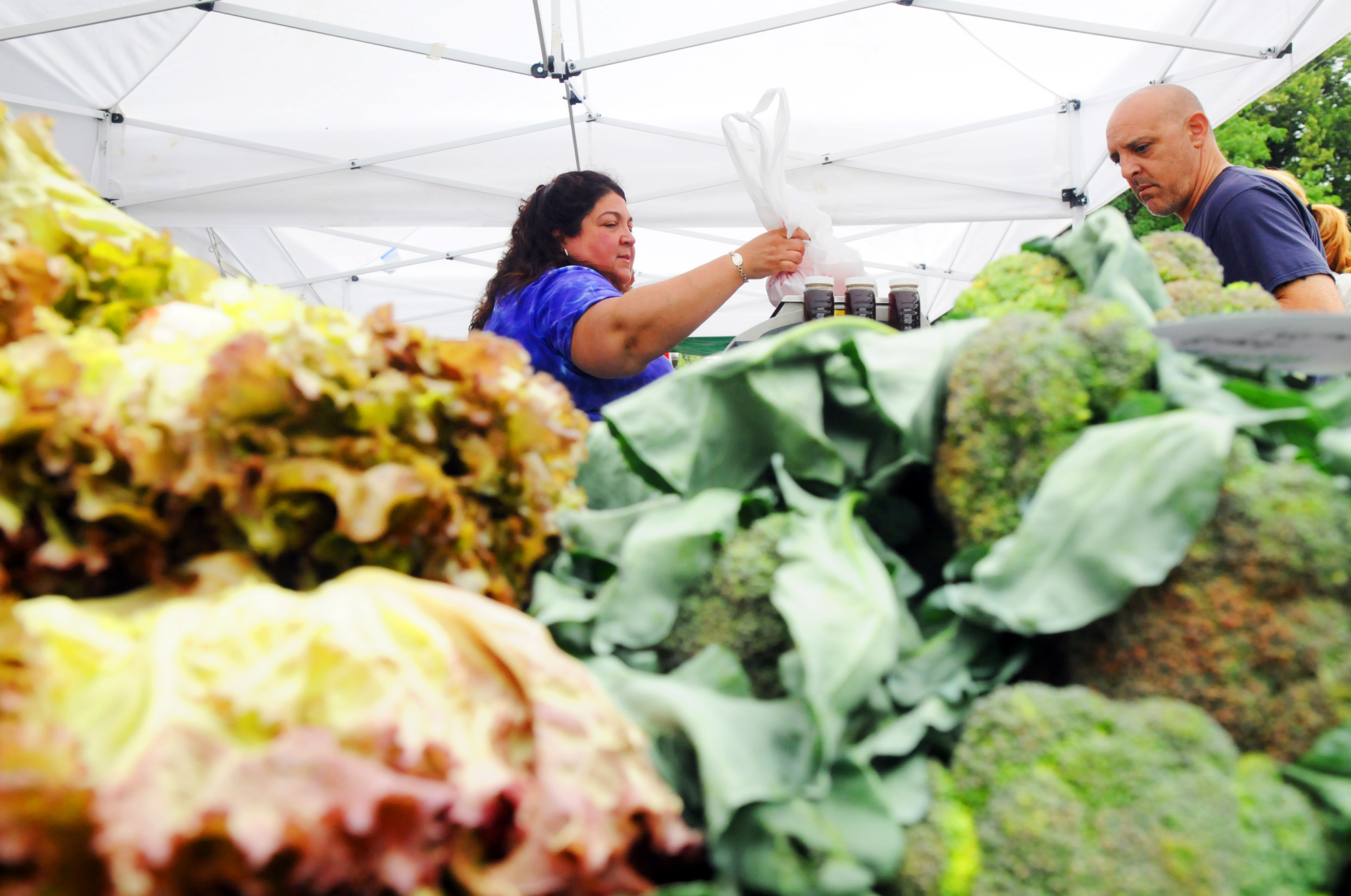 Stamford Farmers Market open