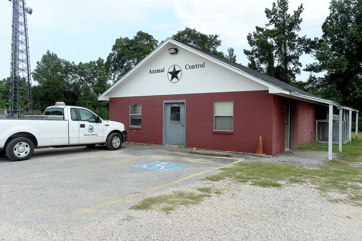 SE Texas animal shelters 'constantly full'