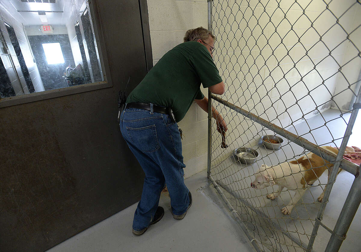 SE Texas animal shelters 'constantly full'