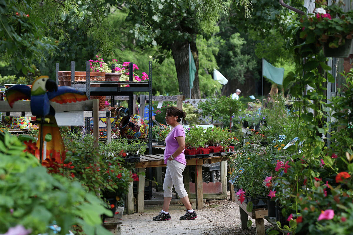 Rainbow Gardens win best plant nursery
