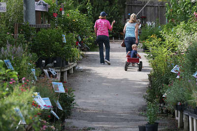 Rainbow Gardens Win Best Plant Nursery