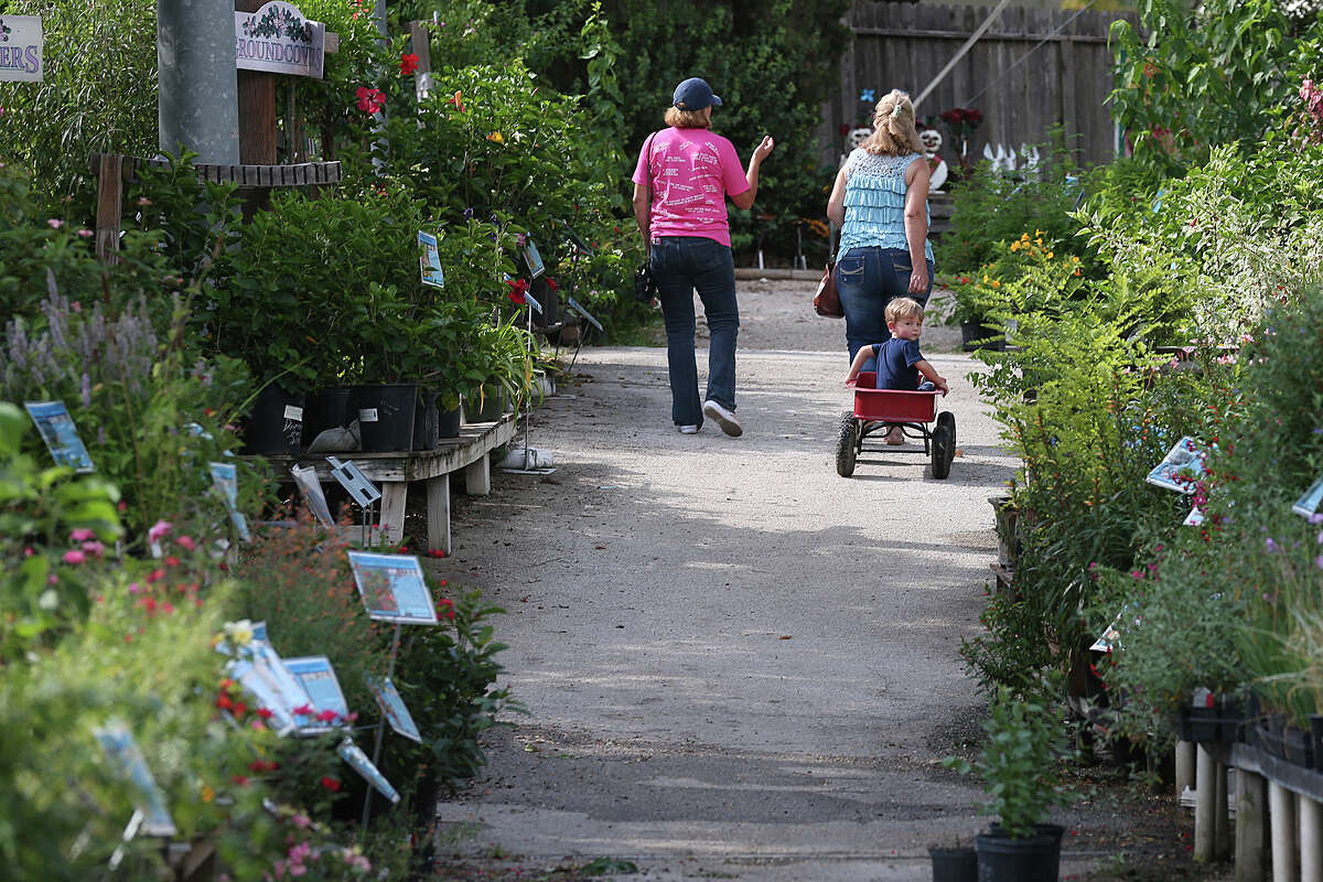 Rainbow Gardens win best plant nursery