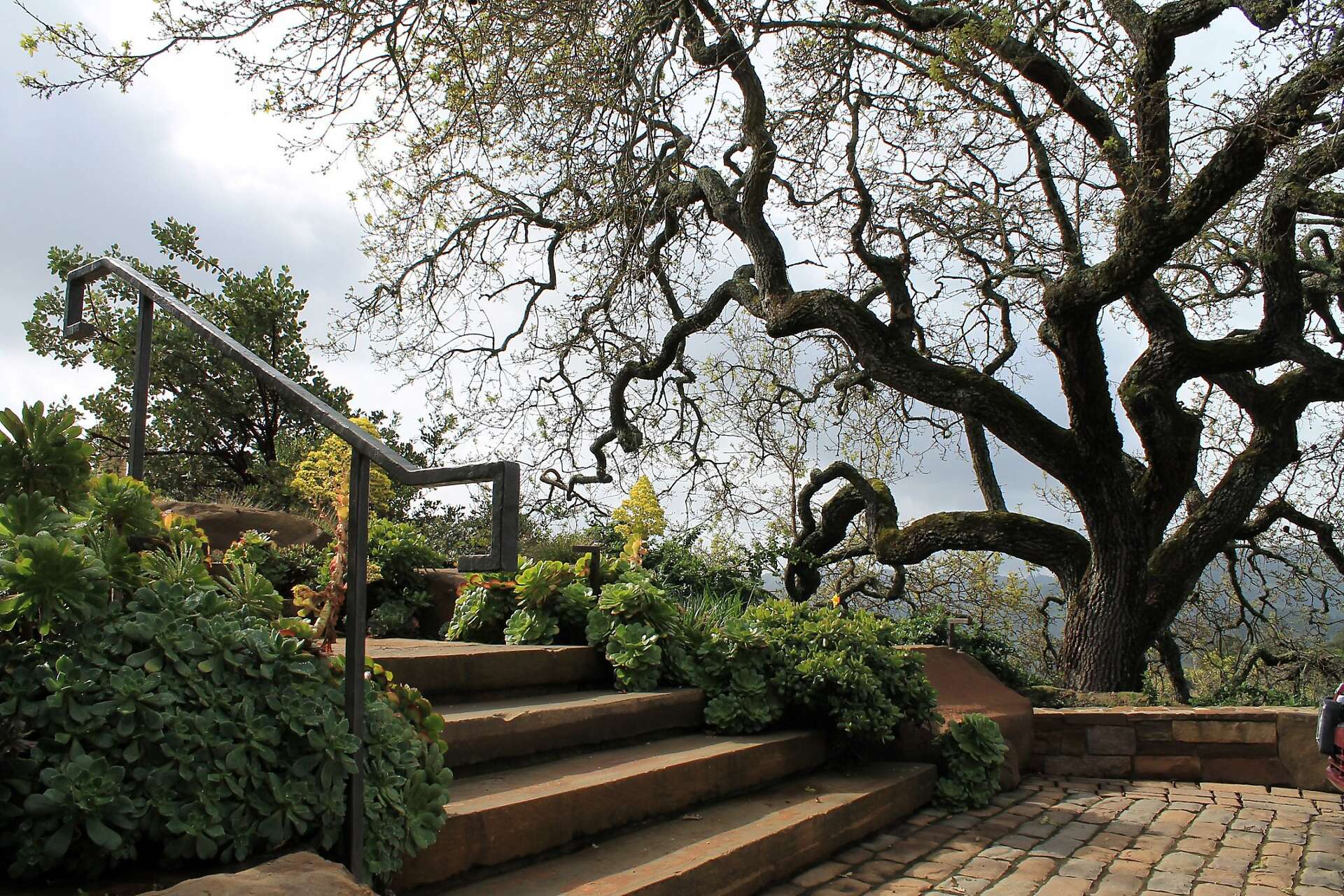 Lafayette landscaping inspired by natives