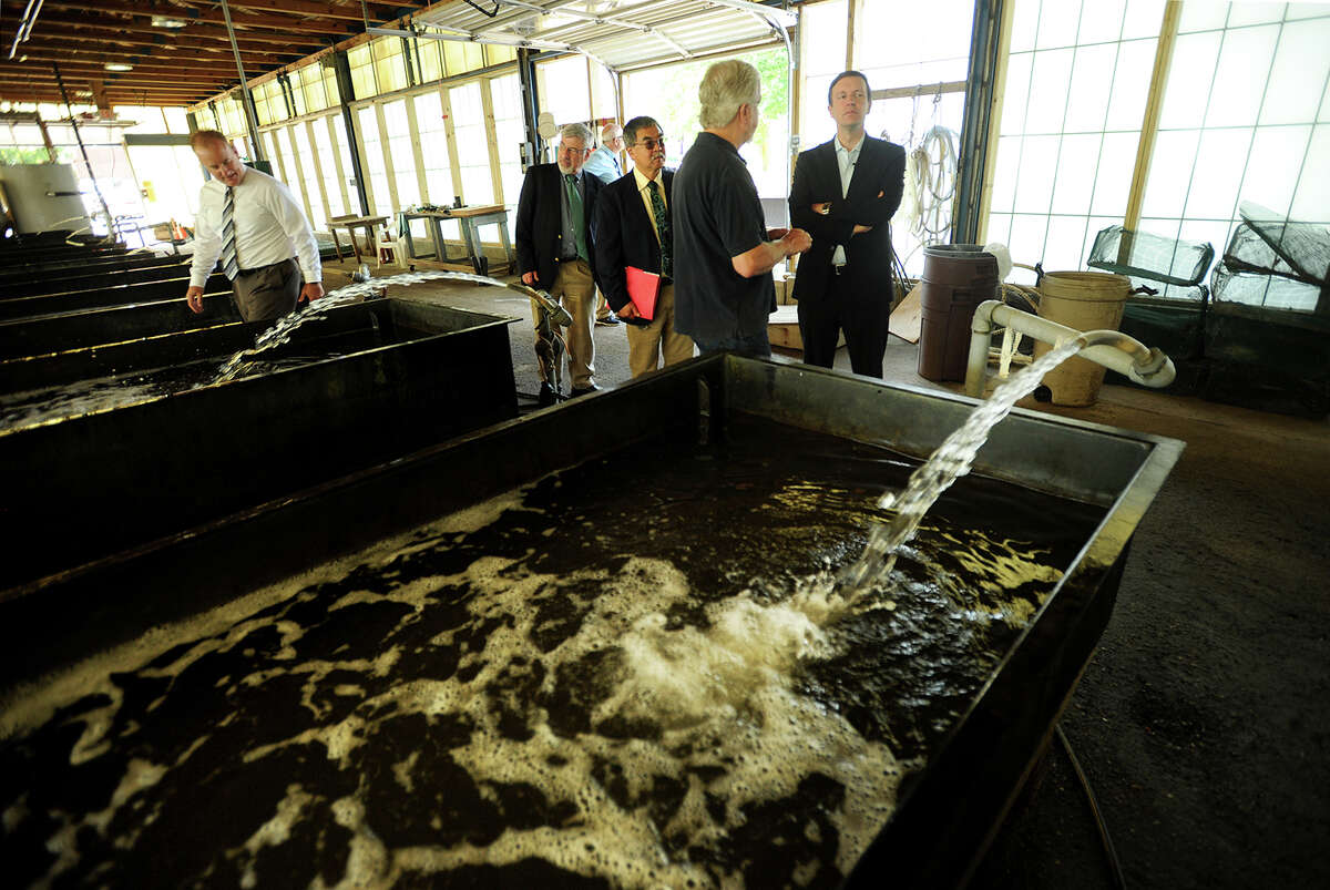 U.S. Sen. Chris Murphy, D-Conn., right, tours the National Oceanic and Atmospheric Administration's Milford Lab during the first stop of a Long Island Sound listening tour in Milford on Tuesday. Murphy is calling for passage of the Long Island Sound Restoration and Stewardship Act, introduced last week in an effort to secure federal funding for restoration of the Sound.