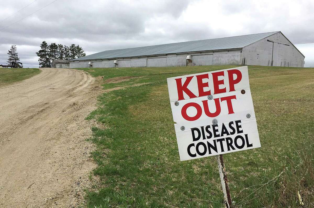 FILE - This April 20, 2015 file photo shows a sign warning visitors to stay away outside an infected turkey farm in Melrose, Minn. No new bird flu cases have been reported in nearly a week on commercial farms in Minnesota and Iowa and officials are hopeful the worst outbreak in the U.S. is winding down. Farmers are finishing the disposal of turkey and chicken carcasses, disinfecting the barns and preparing to restock with new birds. (Kirsti Marohn/The St. Cloud Times via AP, File)