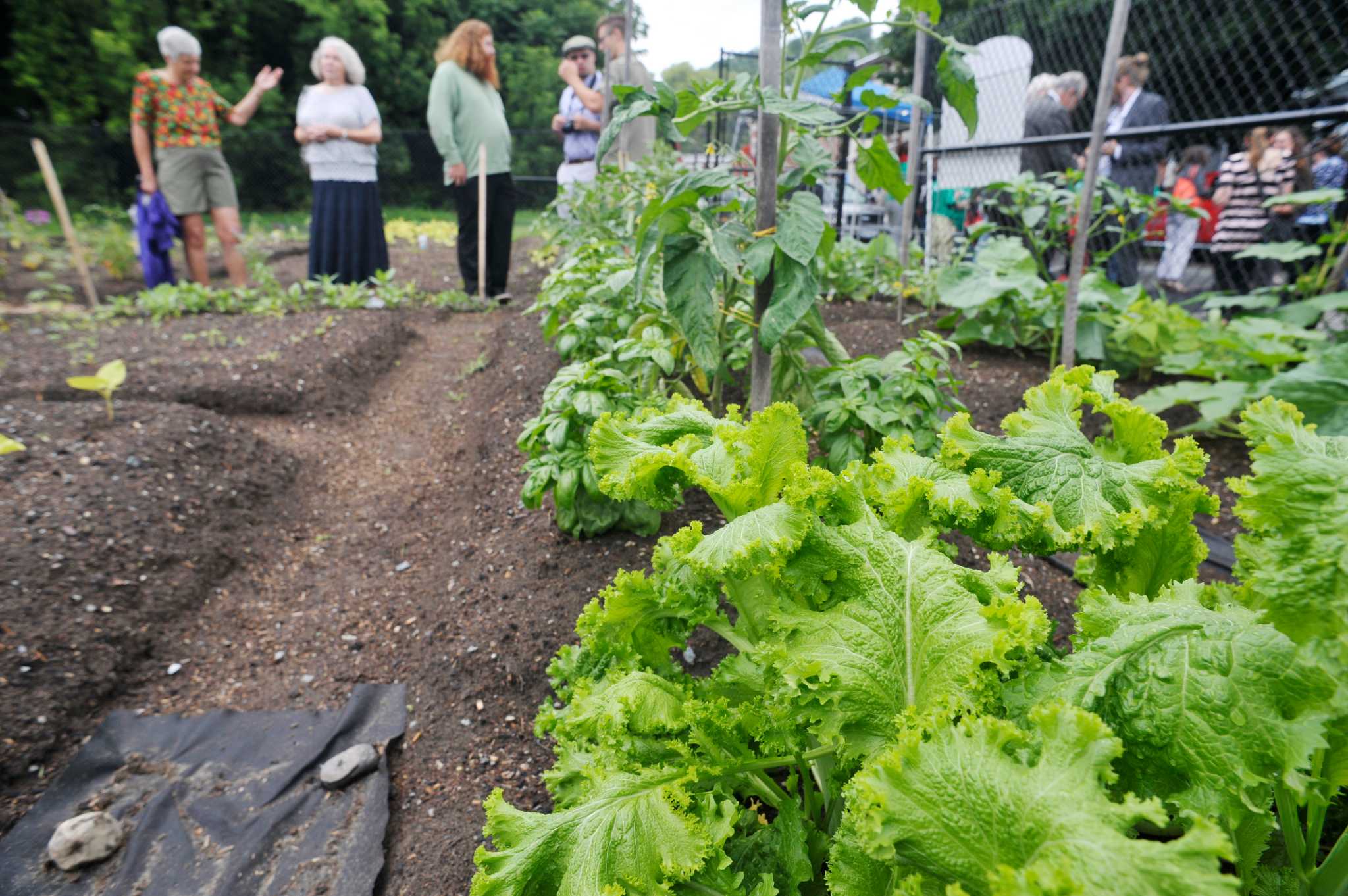 50th community garden opens in Troy