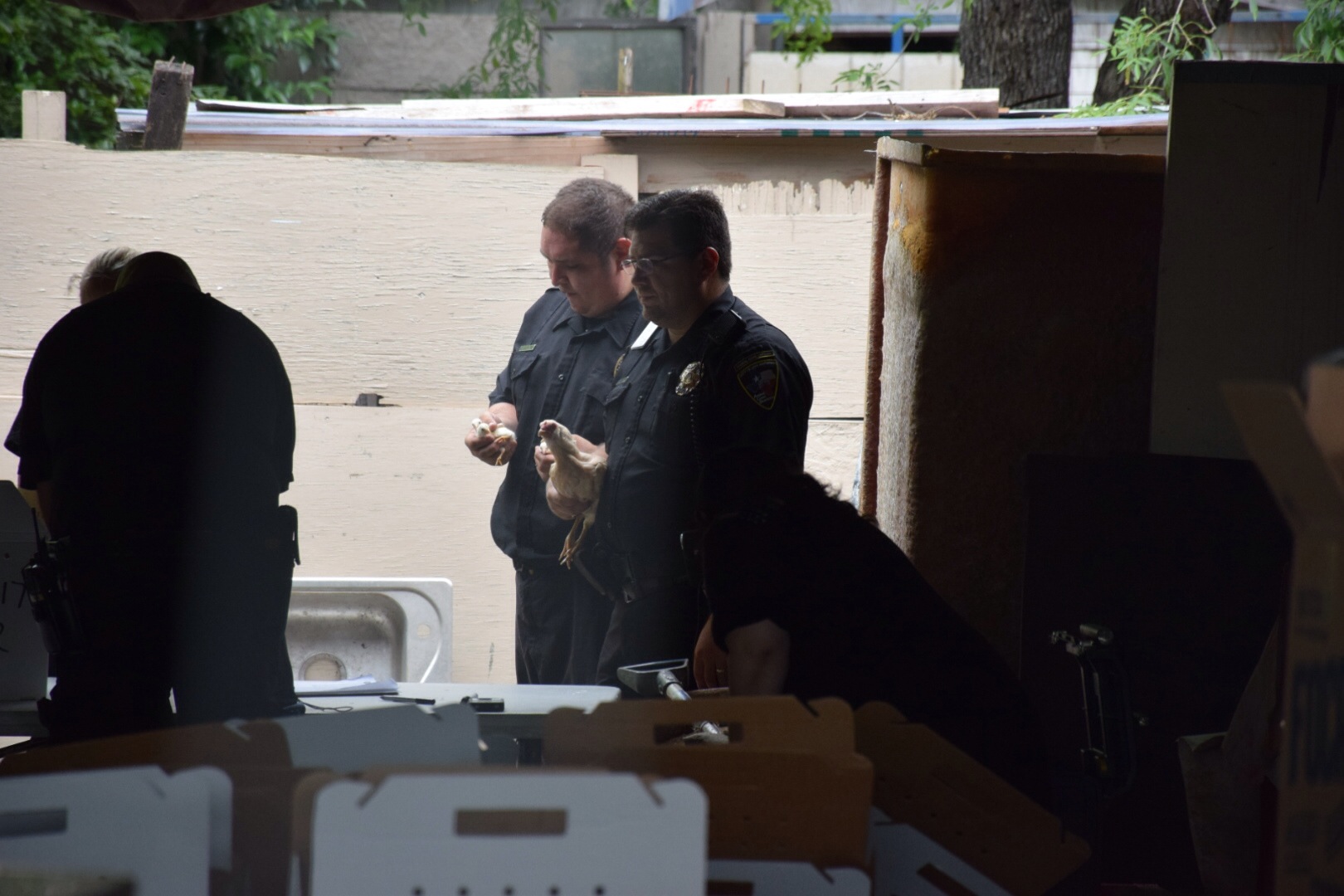 More than 70 birds seized from West Side home believed to be a ...