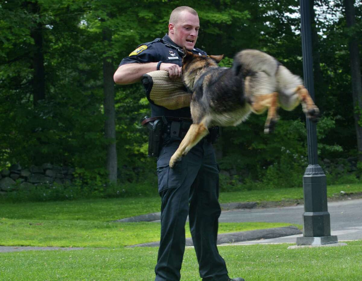 State police K9 gets protective gear