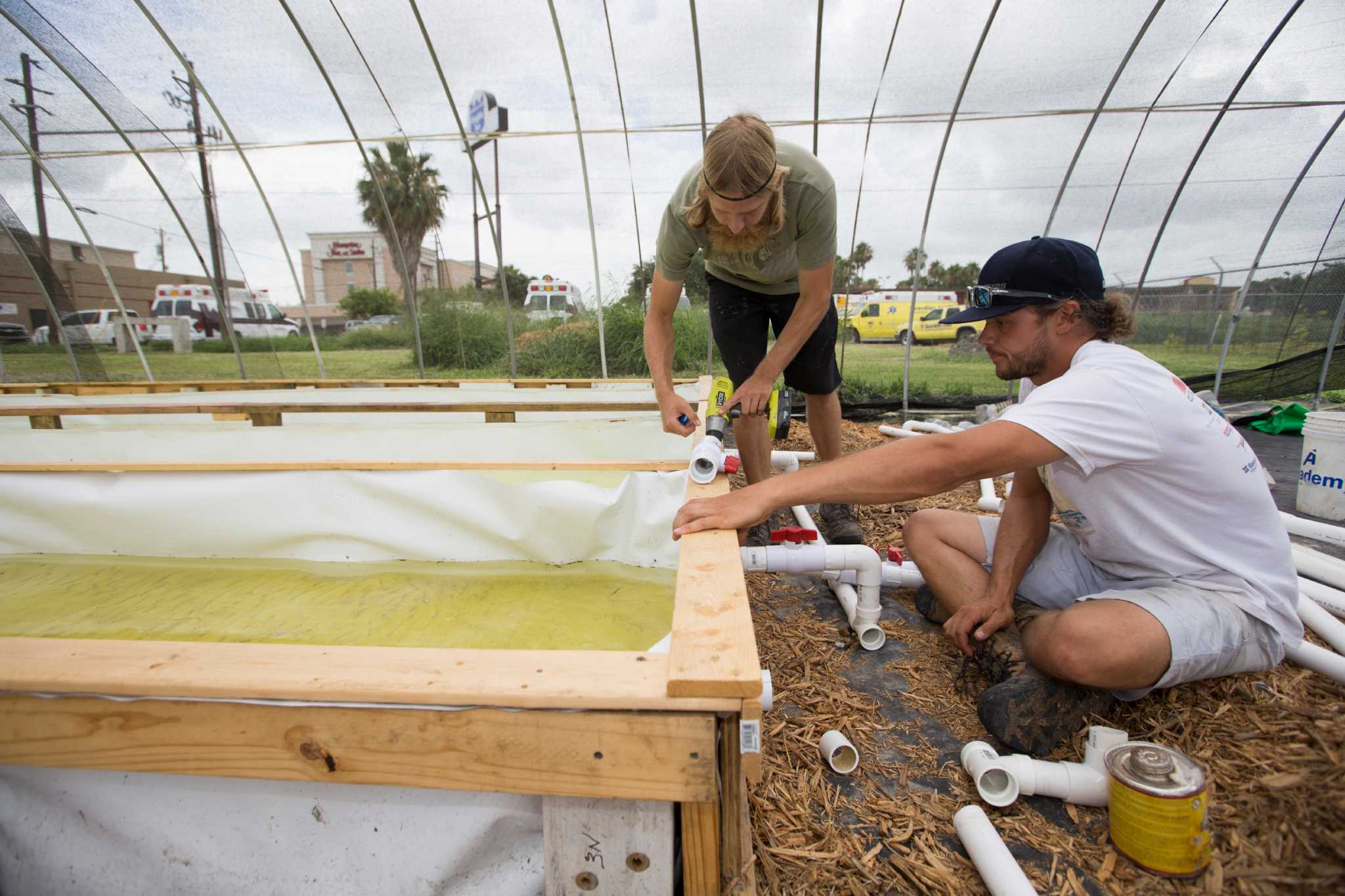 Food Bank Corpus Christi: Addressing Food Insecurity with Compassion