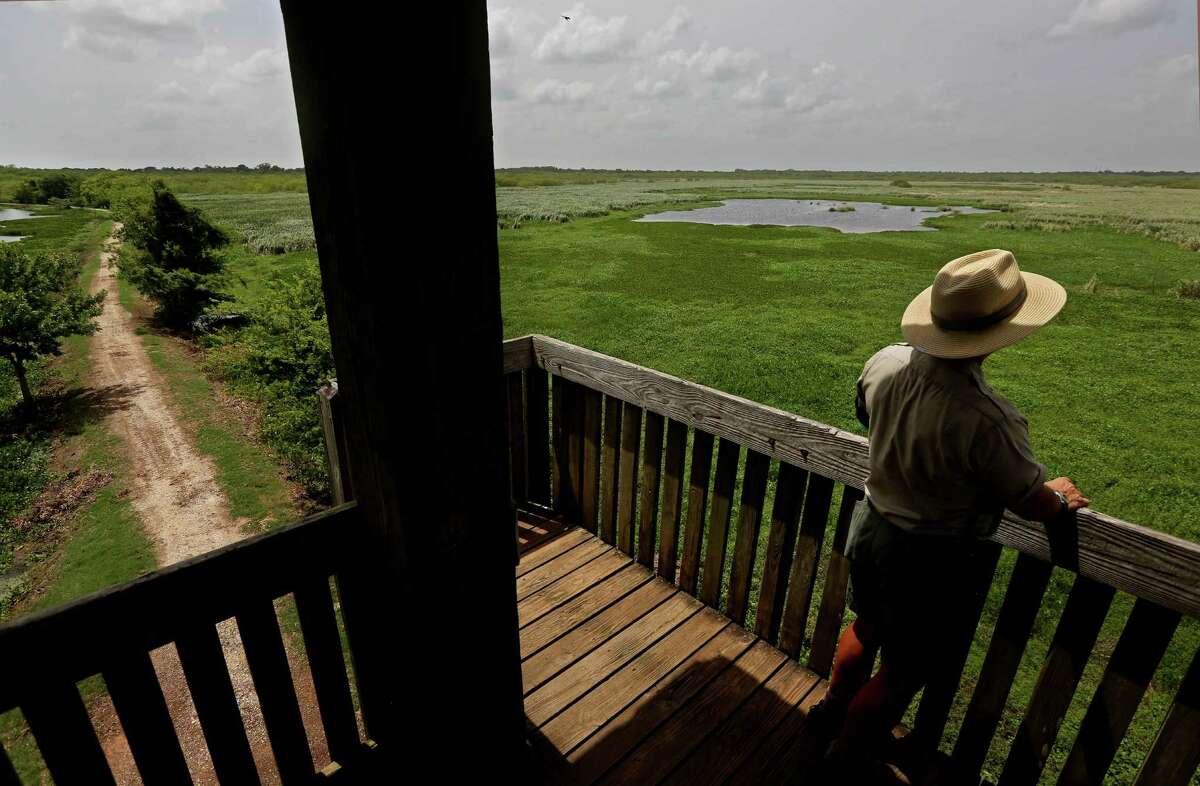 Brazos Bend State Park Why it's worth the drive: Brazos Bend is a Houston-area favorite. The park's lush greenery and network of creeks, trails, and alligator hotspots give an intimate look at Texas' Gulf Coast ecology that's hard to find anywhere else. Distance from Houston: About 1 hour Overnight options: Campsite, screened shelter, or cabin