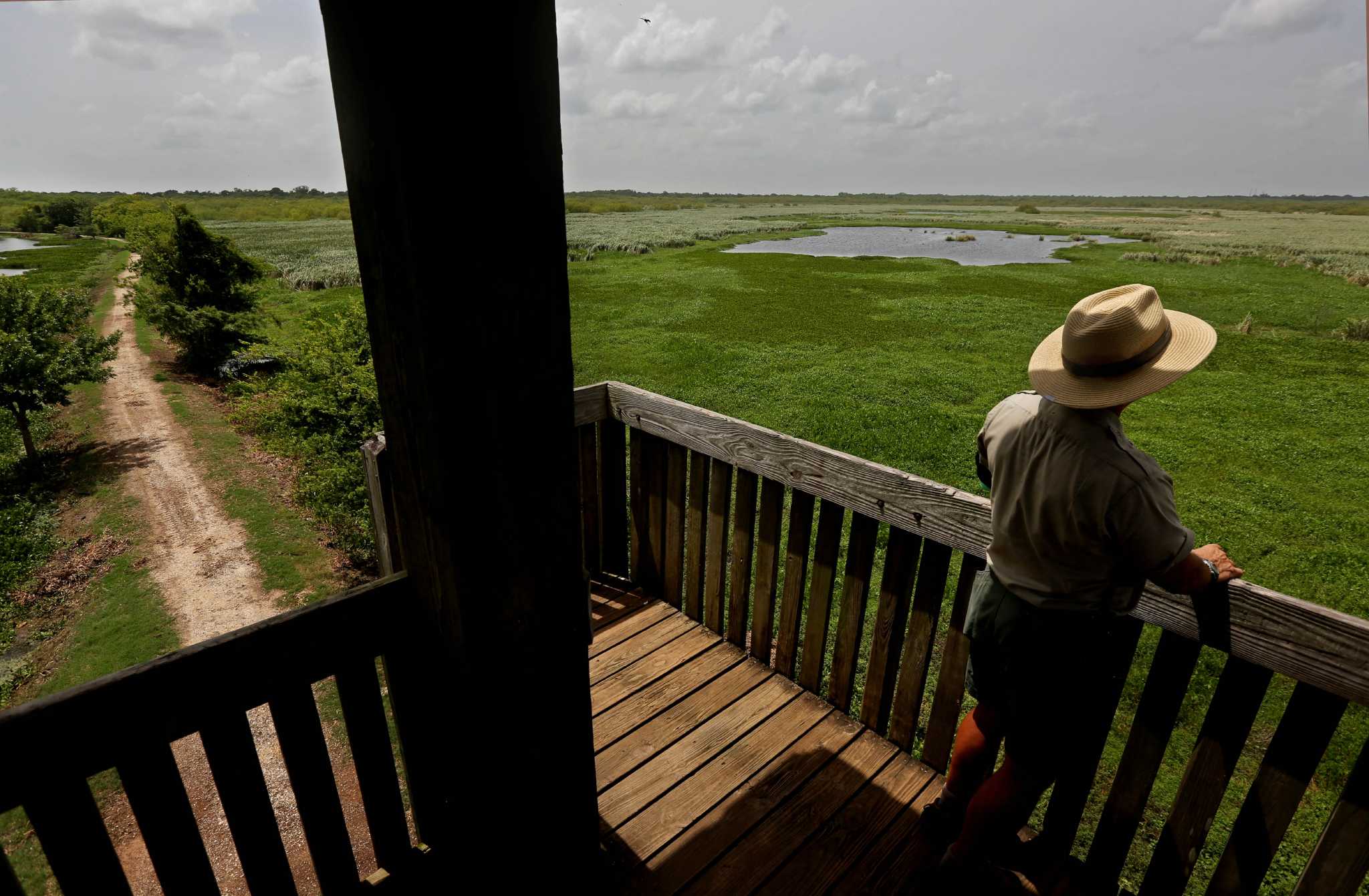 Brazos Bend to reopen but not in time for holiday