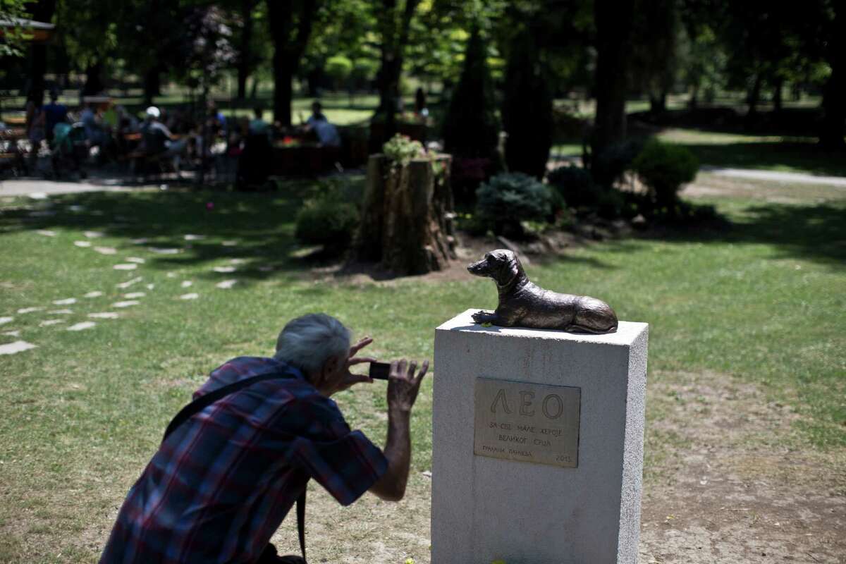 are dachshunds brave