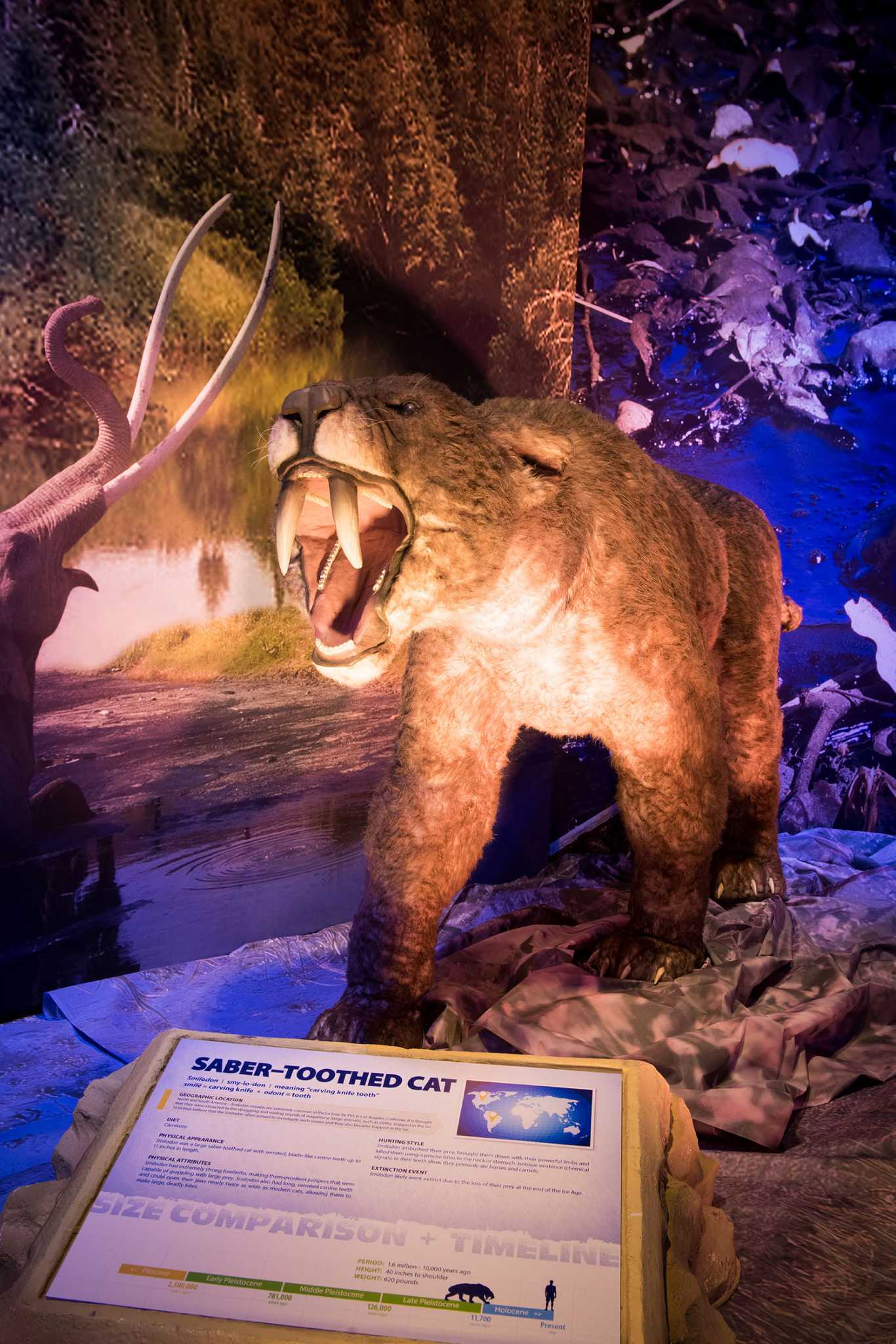 Witte Museum is growing with the city.