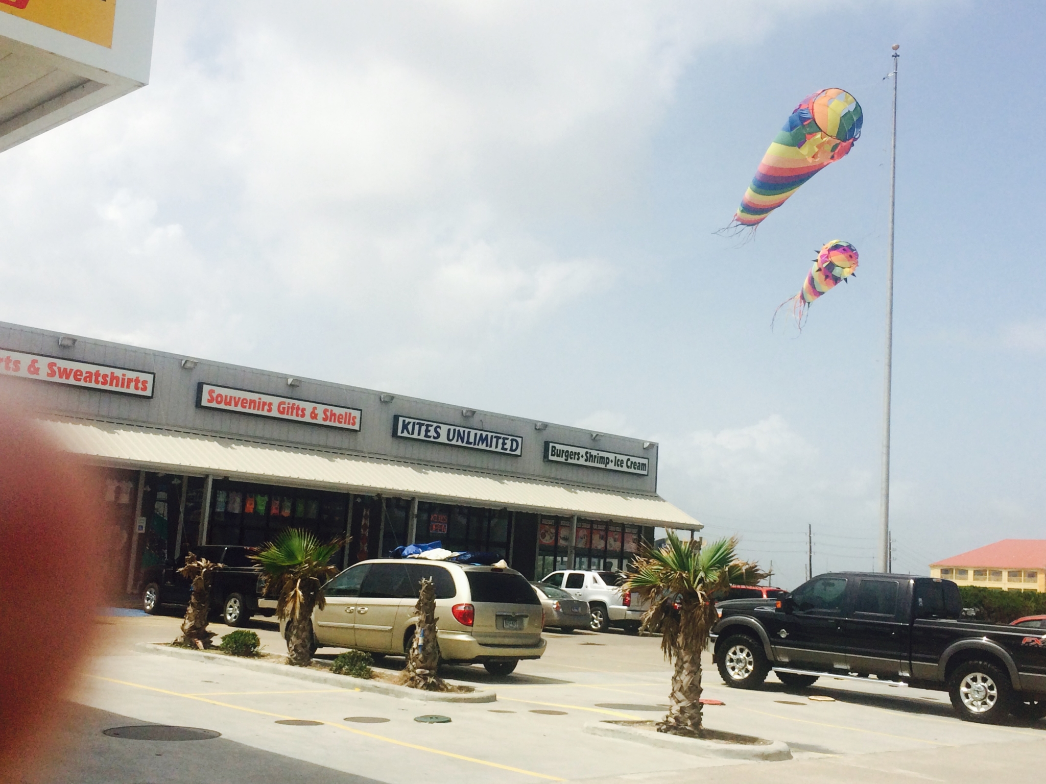 Galveston to kite store Stop flying kites outside