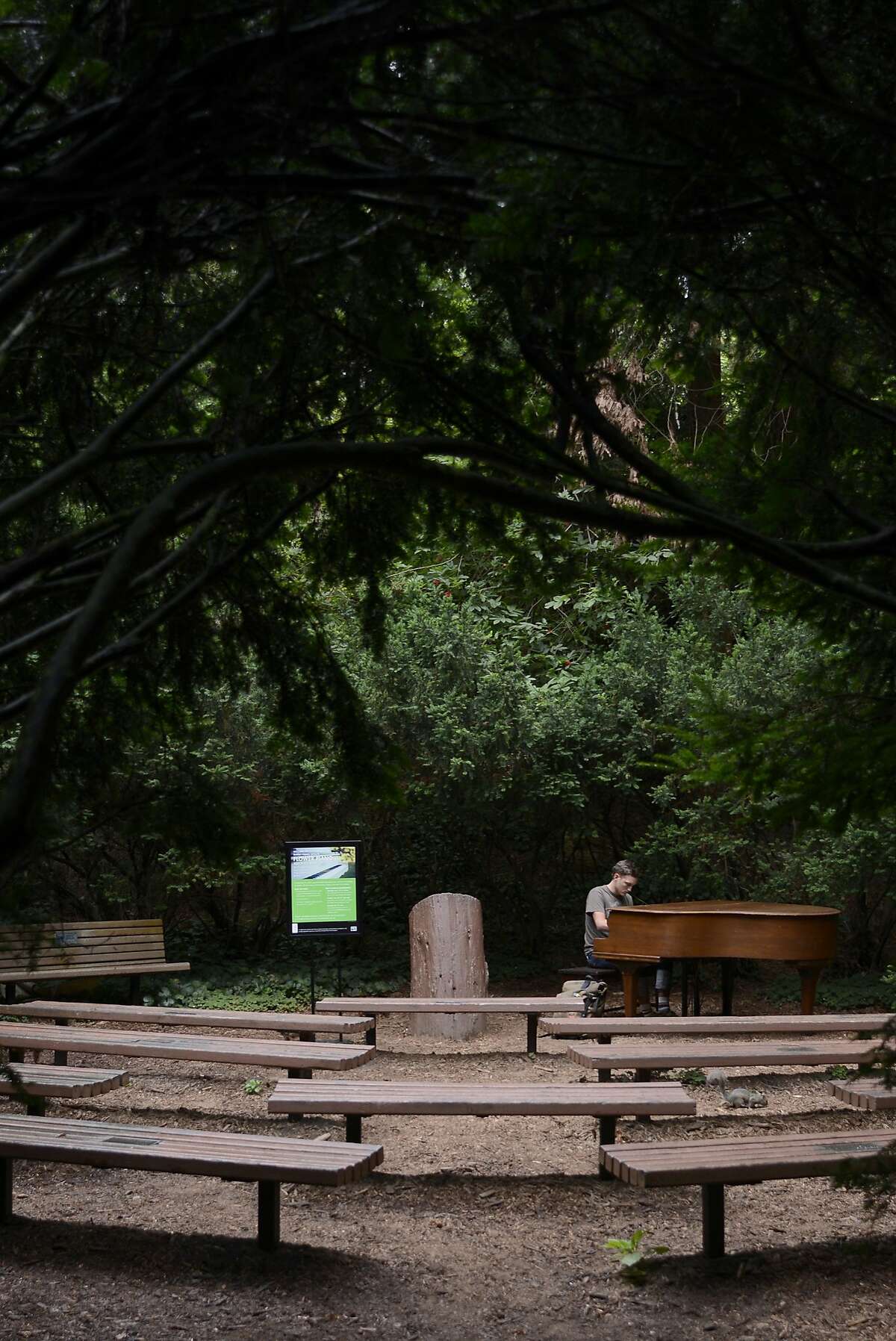 Reese Kolar plays one of the seven pianos at the San Francisco Botanical Gardens in San Francisco, California, on Thursday, July 9, 2015.