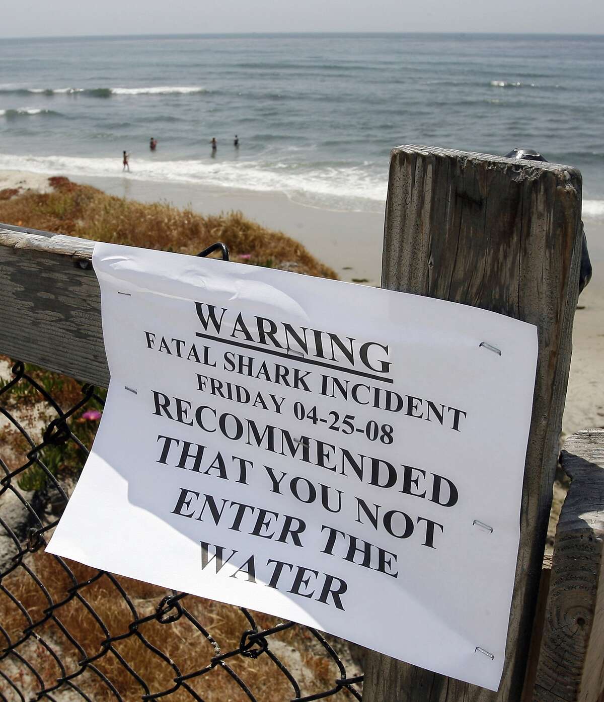 Rate of shark attacks plunges off West Coast