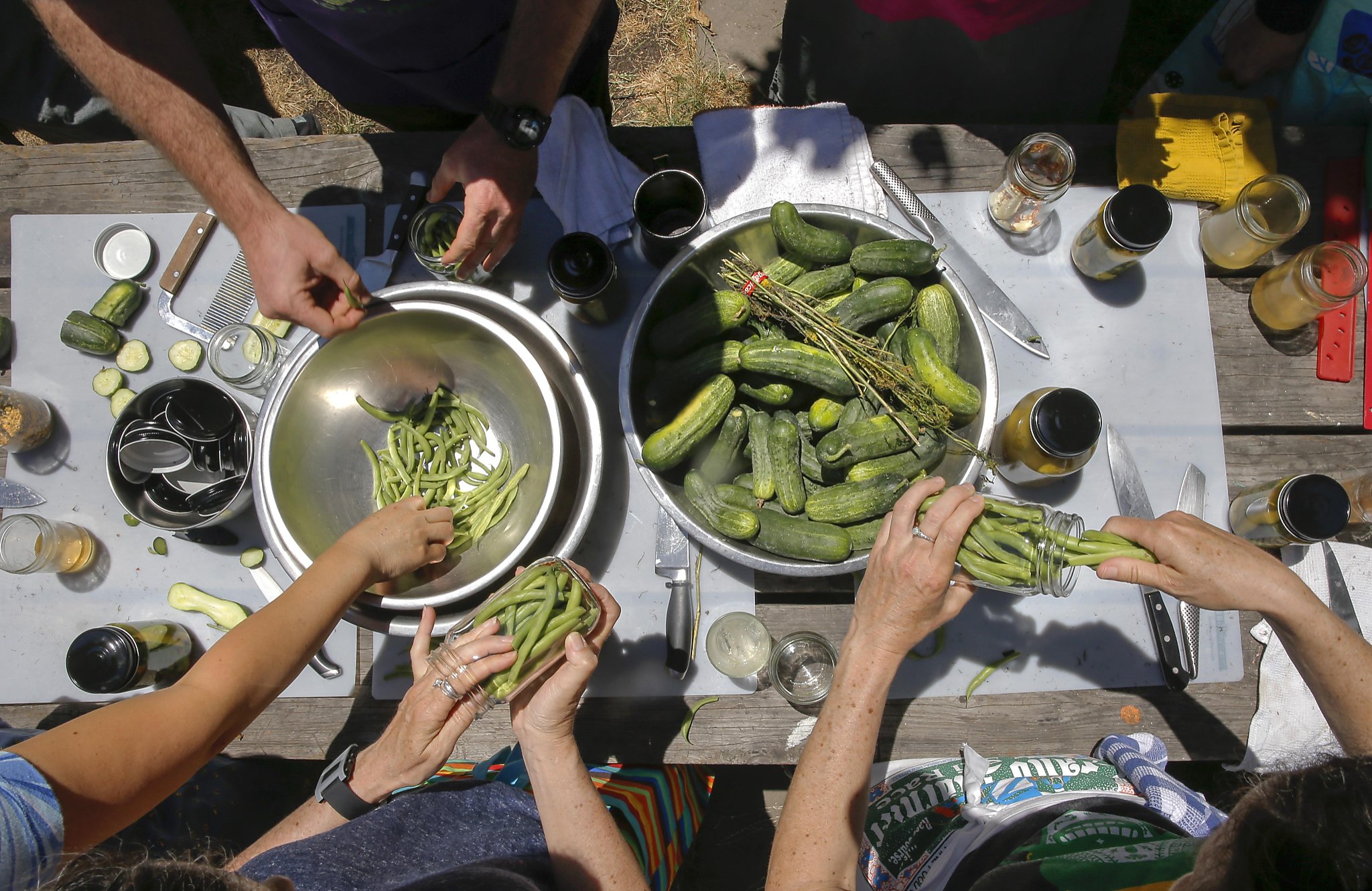 Bay Area backyard farms grow up, mellow out
