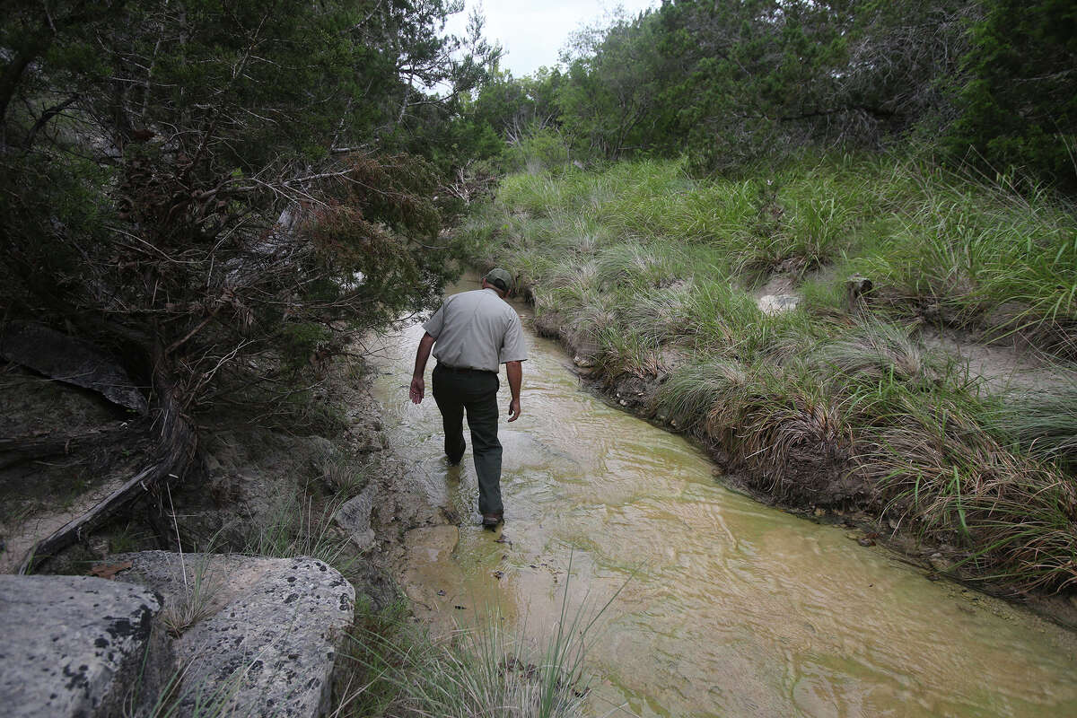 James Rice, superintendent of the Albert & Bessie Kronkosky State Natural Area, walks in a creek bed Tuesday July 7. Located about seven miles west of Boerne, the area consists of more than 3,700 acres and will offer hiking, camping and some limited hunting.