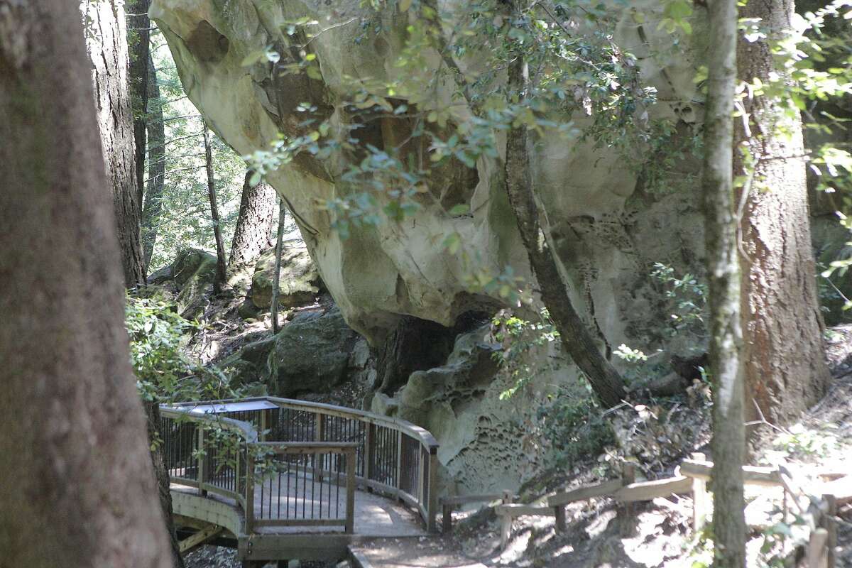塔福尼(The Tafoni)基座上的观景台。塔福尼是半岛上马德拉溪开放空间保护区(El Corte de Madera Creek Open Space Preserve)的一块砂岩巨石，也是纪事报成员徒步旅行的地点