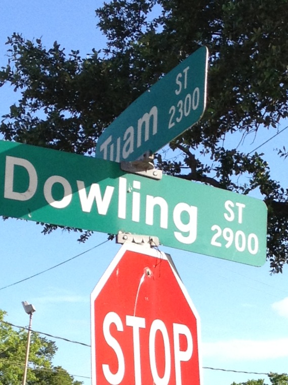 Council changes Dowling Street to Emancipation Avenue