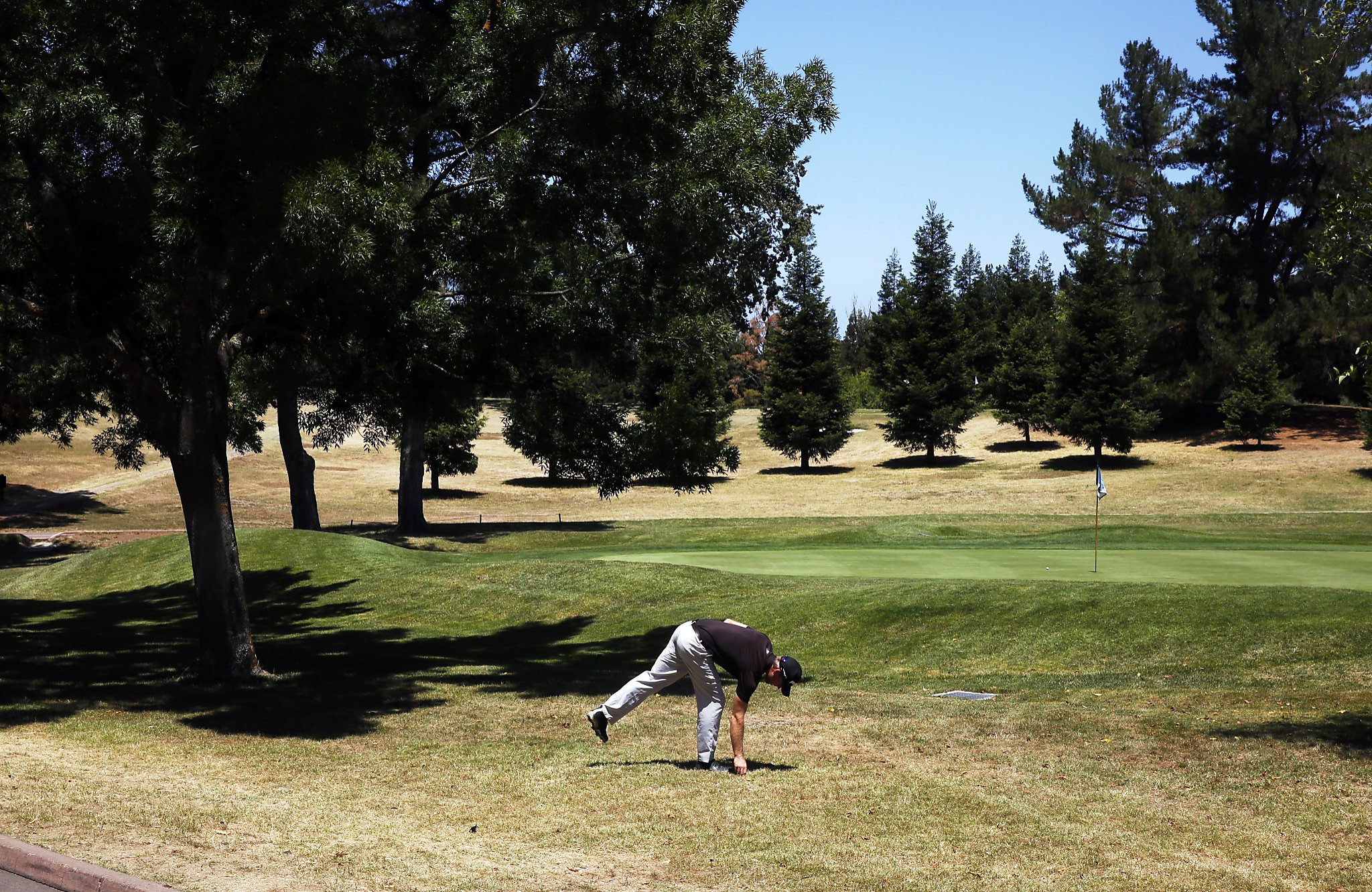 Drought hitting Northern California golf courses hard
