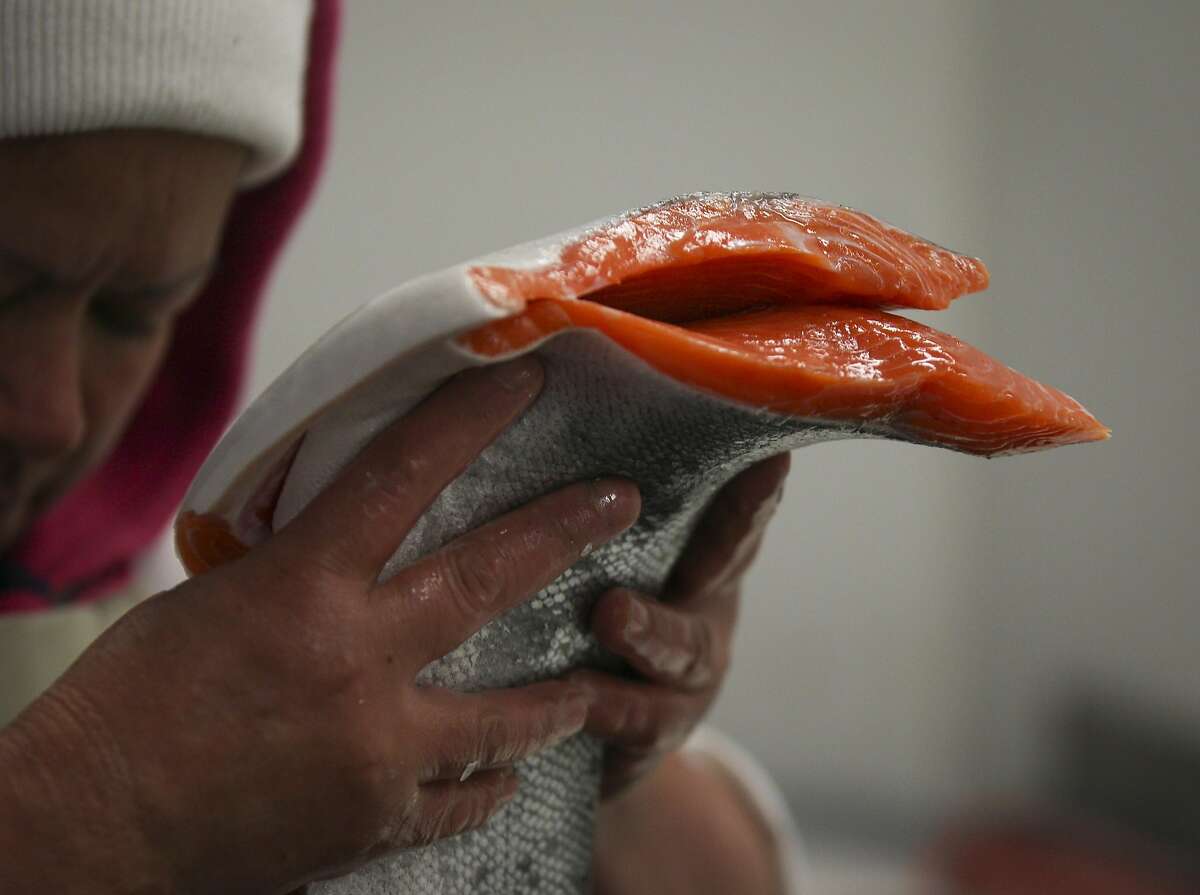 Maria Victoria Flores de Garcia fillets wild king salmon at the North Coast Fisheries processing plant in Santa Rosa, California, on Friday, July 17, 2015. Siren Fish Company, owned by Anna Larsen, has its fish processed at North Coast Fisheries. Siren Fish Company specializes in providing locally caught, sustainable fish to its "CSF" members on a weekly basis.