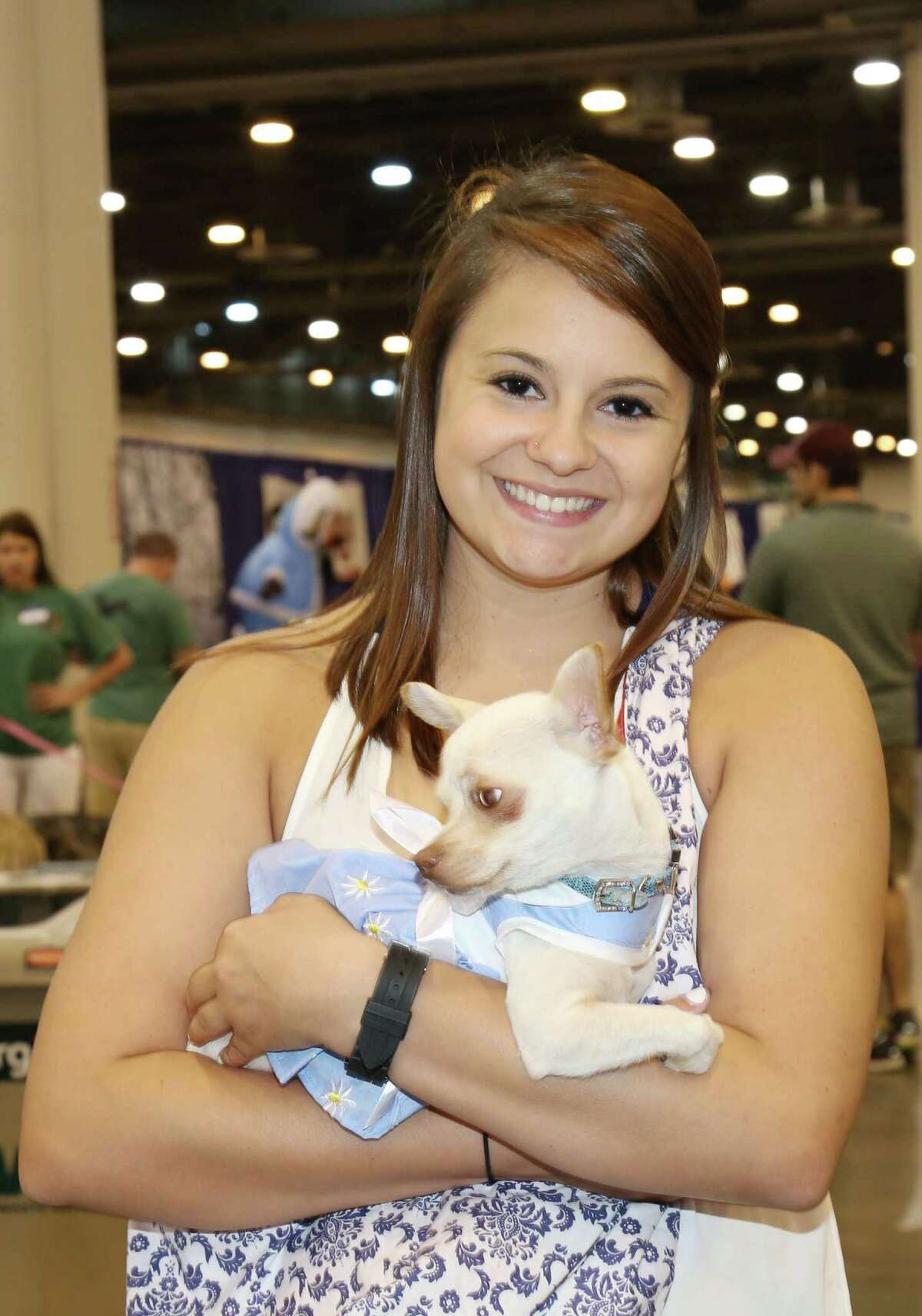 Canines show off talents at Houston's World Series of Dog Shows