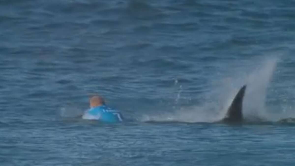 Surfer's worst nightmare Mick Fanning attacked by shark, World Surf