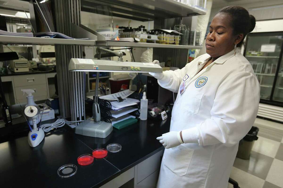 Juanita Sumpter, microbiologist, illuminates two listeria agar plates in a lab in the Houston Health and Human Services Department on Thursday, June 18, 2015, in Houston. ( Mayra Beltran / Houston Chronicle )