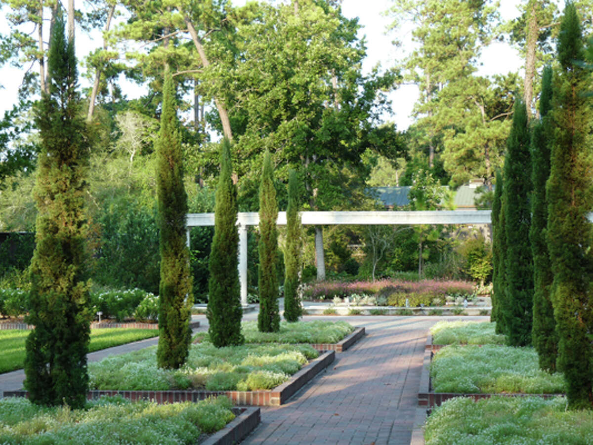 Mercer is creating formal Renaissance garden