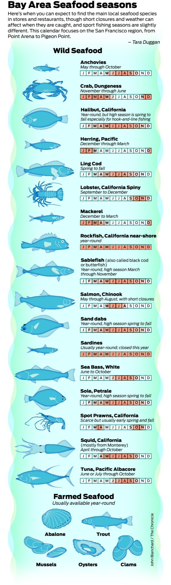 East Coast Seafood Seasonal Chart