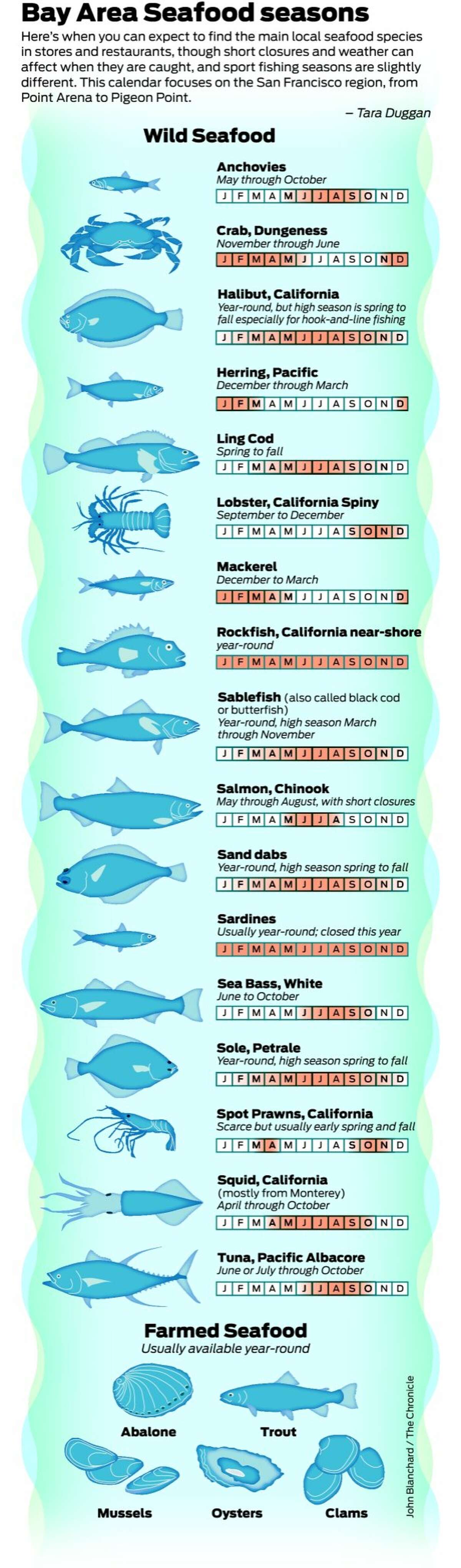 The seafood calendar What’s in season locally