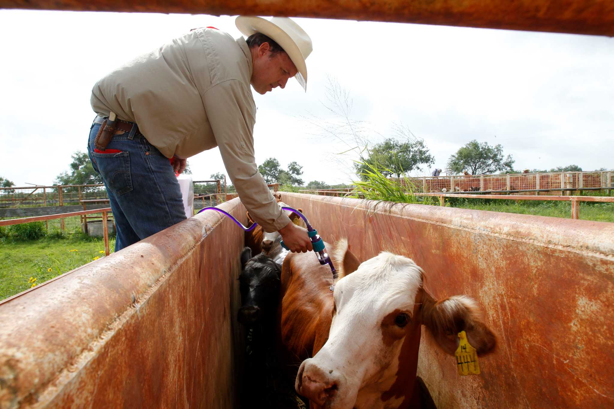 Ranch family roots extend two centuries
