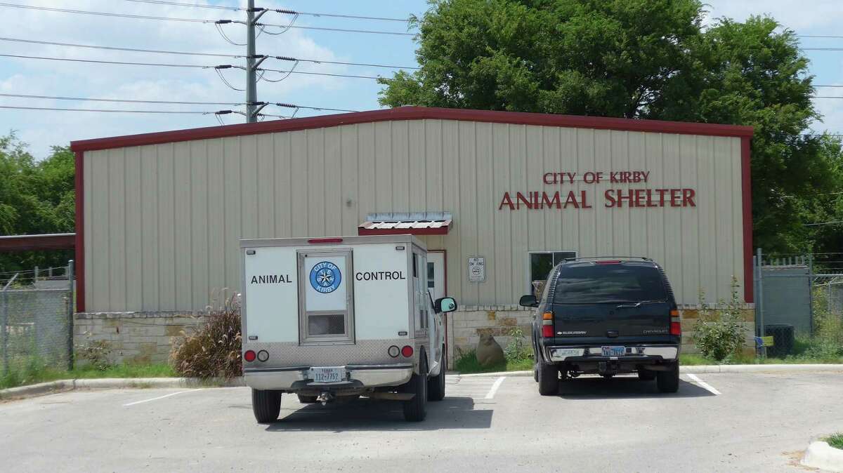 Bexar County kennel plan proceeding