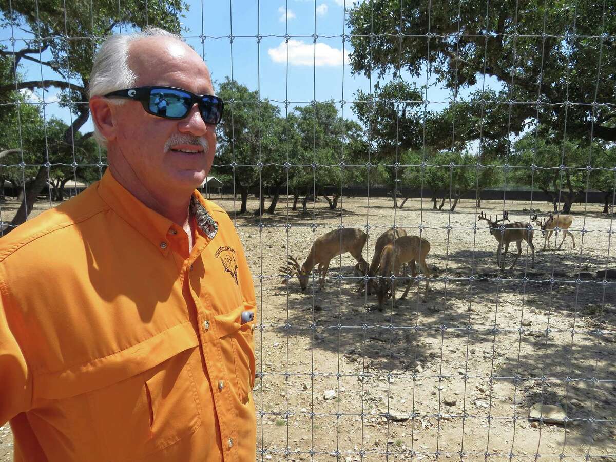 State kills 34 deer at Medina County ranch