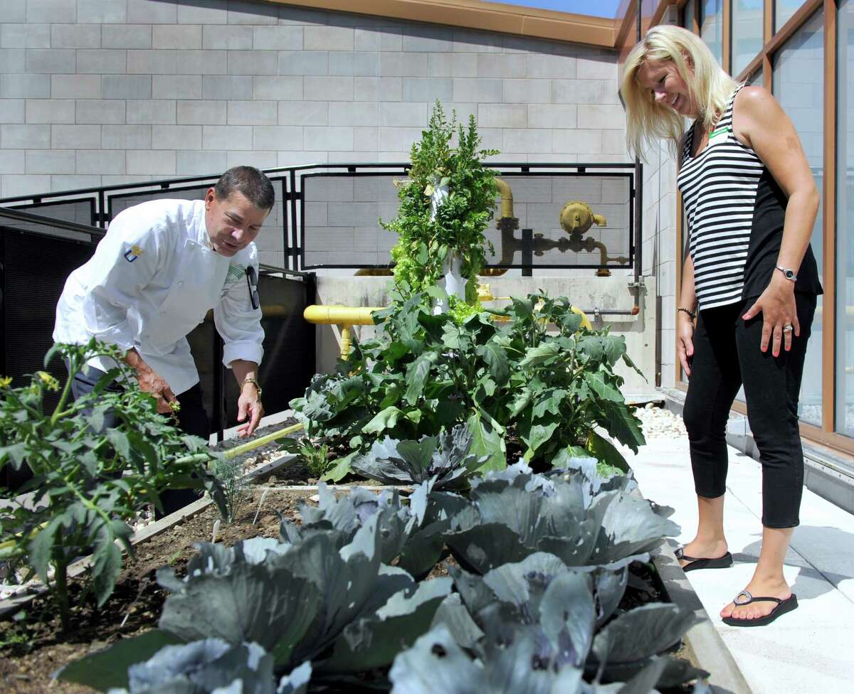 Kerry Gold, head of dining services and chef for New Milford Hospital, left, and Kara Sylvia, with Tower Garden, talk about the hospital’s rooftop garden.