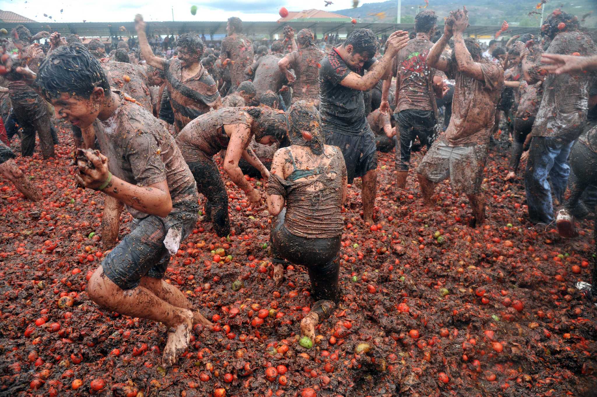Testicle clearance festival 2020