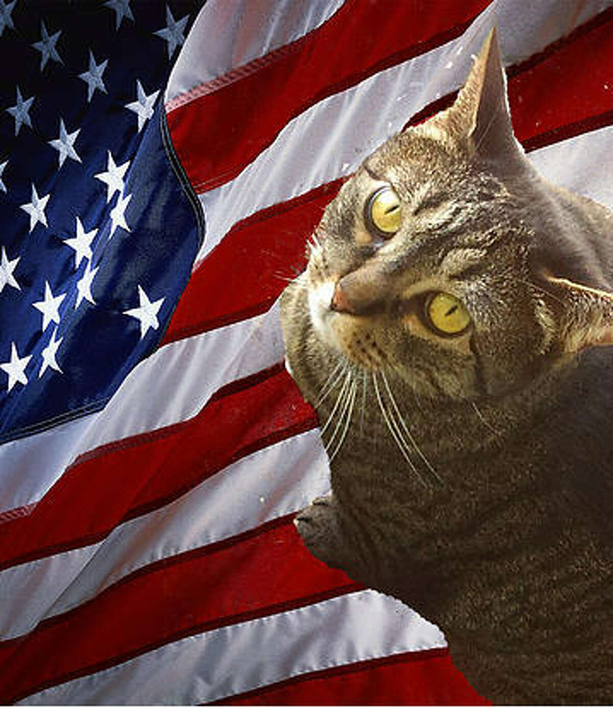 Here S Everything You Need To Know About Deez Nuts The Presidential Candidate