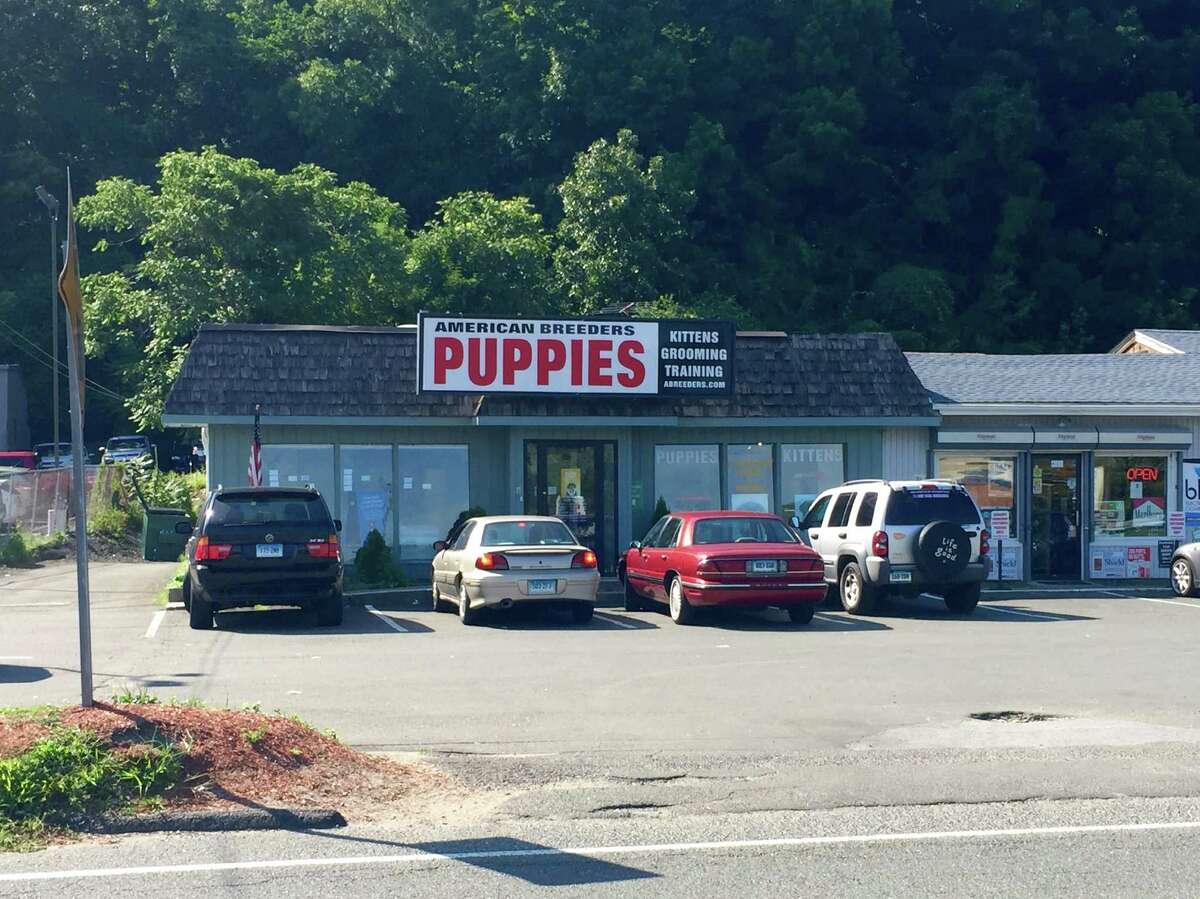 The owner of American Breeders on Federal Road in Danbury has been charged with three counts of animal cruelty.