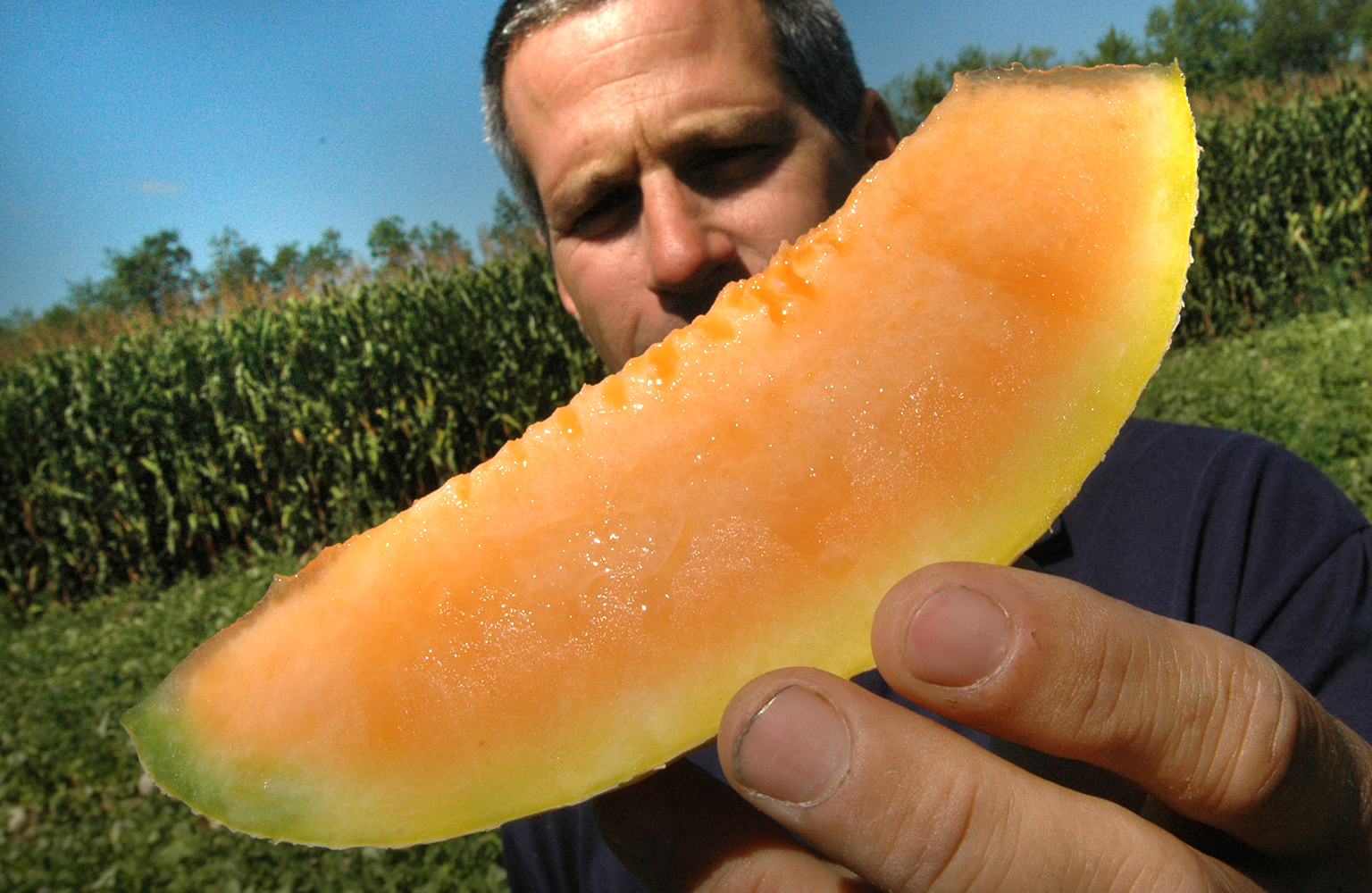 Washington County's Hand Melon Farm joins farmland conservation program