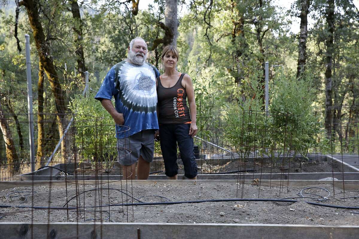 Mark Harzarian and his wife, Linda Tucker, pose for a portrait in their garden near their home in Oak Run (Shasta County) on Friday, July 31, 2015. Harzarian and his wife, Linda Tucker, have watched an important creek on their property dwindle due to the drought and diversions for marijuana grows. They've had to reduce the size of their garden in response.