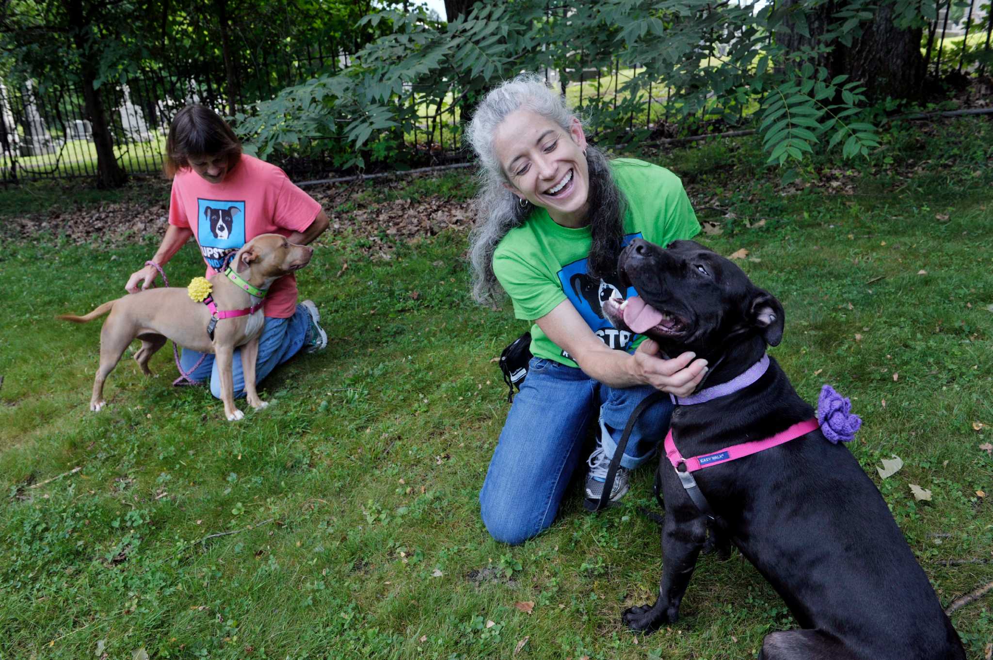 How a dog named Mudge forged Upstate Underdog Rescue