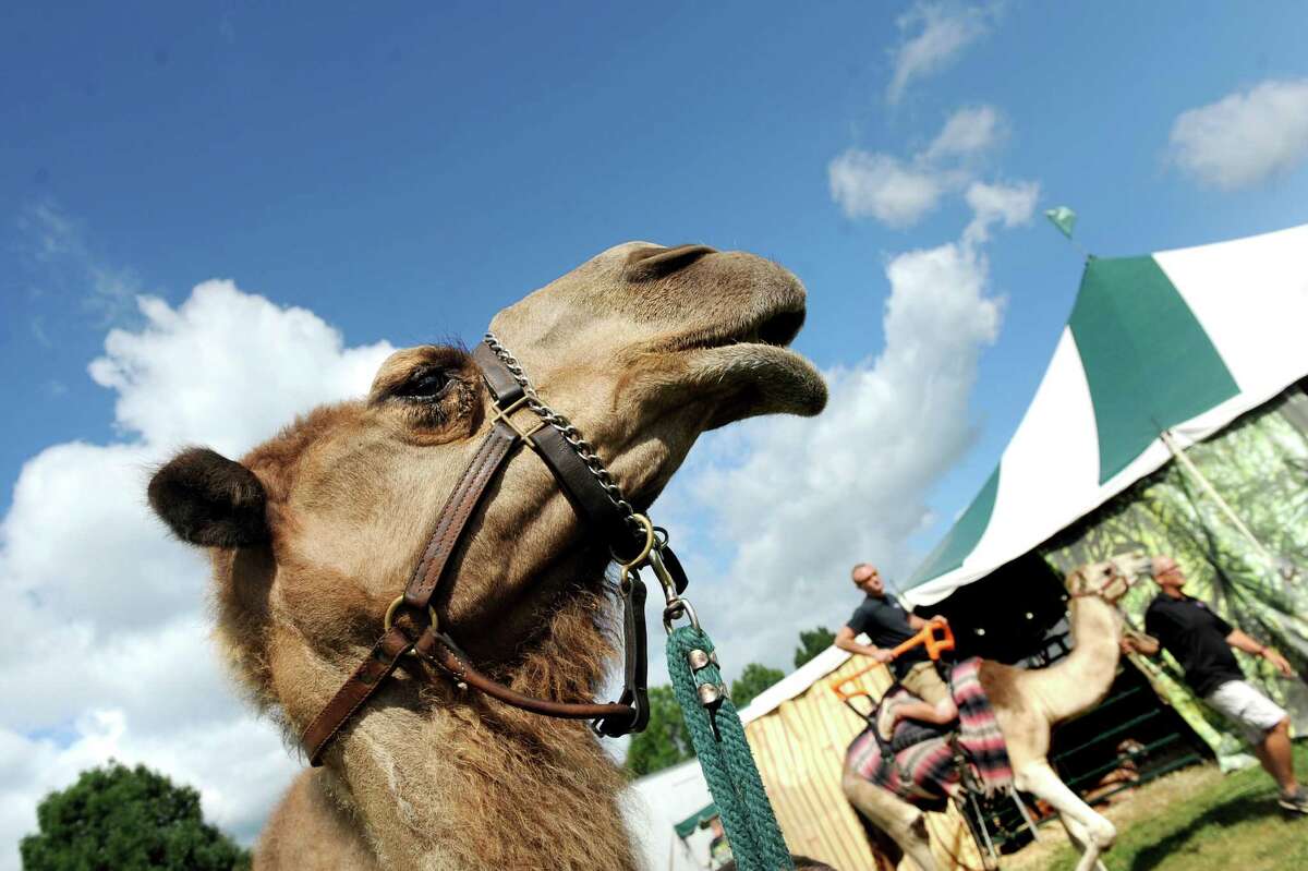 Photos Schoharie County Sunshine Fair