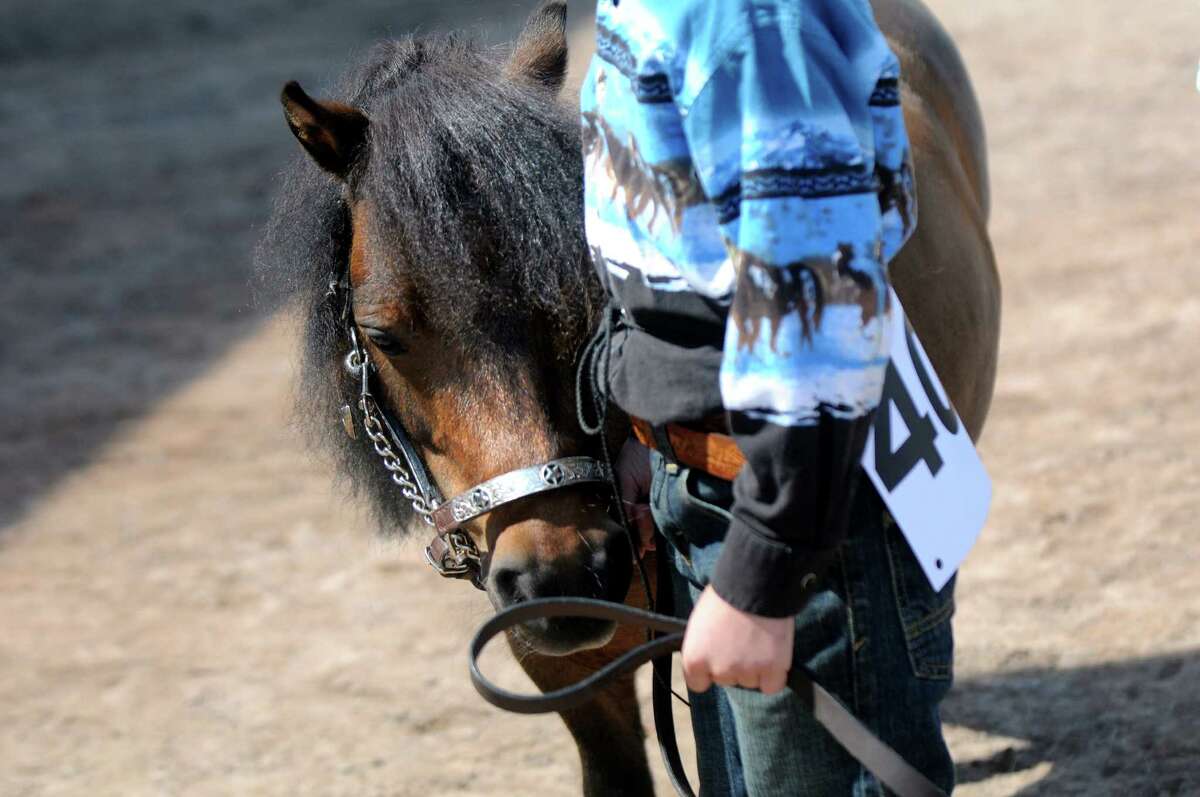 Photos Schoharie County Sunshine Fair