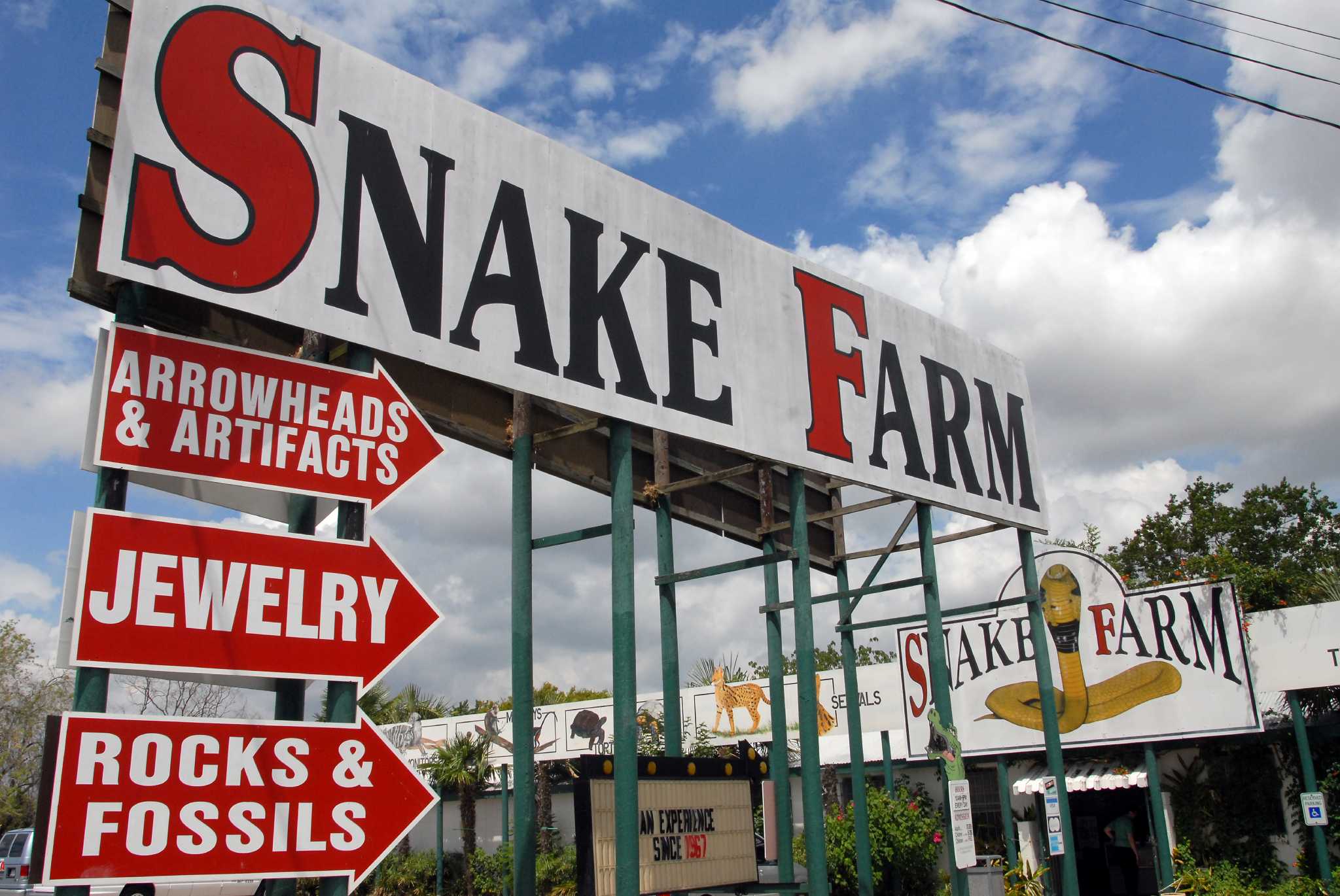 16 Thrilling Facts About New Braunfels Animal World And Snake Farm Zoo