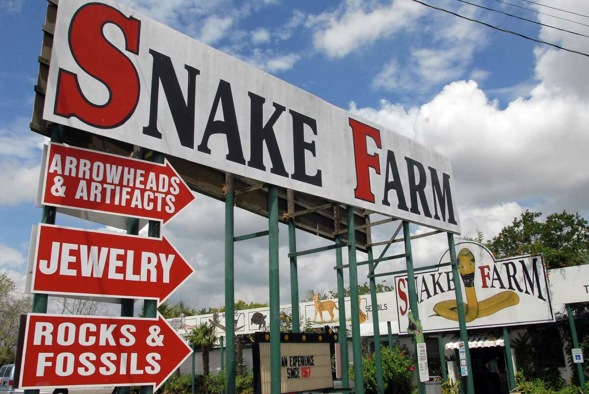 In its near 50-year history, the Snake Farm off Exit 182 on Interstate 35 has evolved from a campy carnival show to a popular family-friendly zoo. Click ahead for 16 facts behind this iconic, quirky Texas tourist spot. 